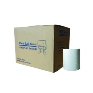 REANNA 1 PLY HAND ROLL TOWEL ±150M/ROLL ±32GSM (20CM*Ø21CM)[12ROLL/CTN]